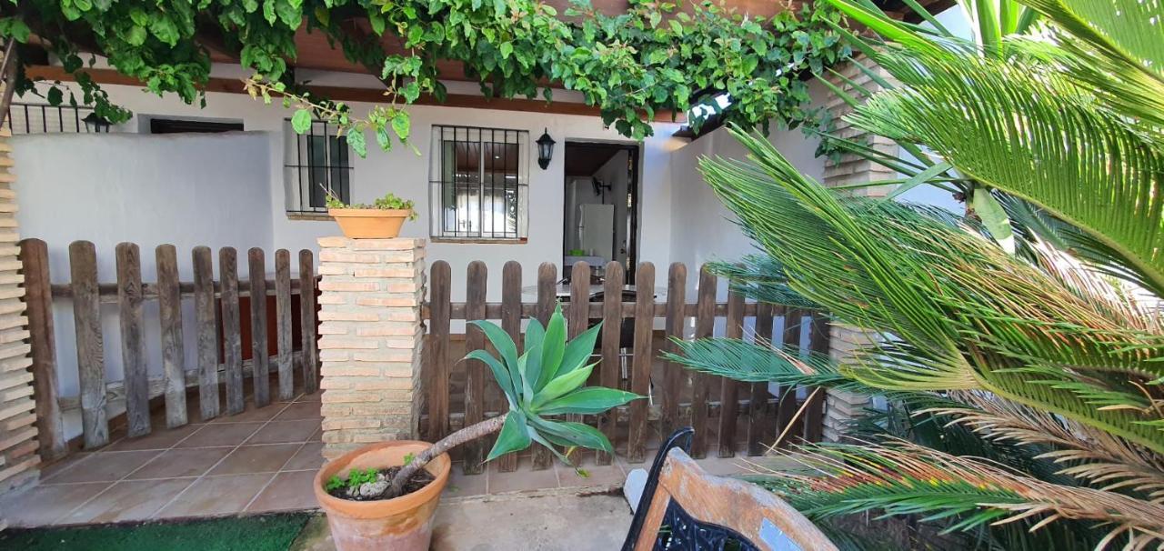 Estudios Con Piscina Compartida En Conil. 카디스 외부 사진
